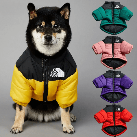 A Importância do Uso de Roupinhas de Frio e Capas de Chuva para Pets em Dias Frios