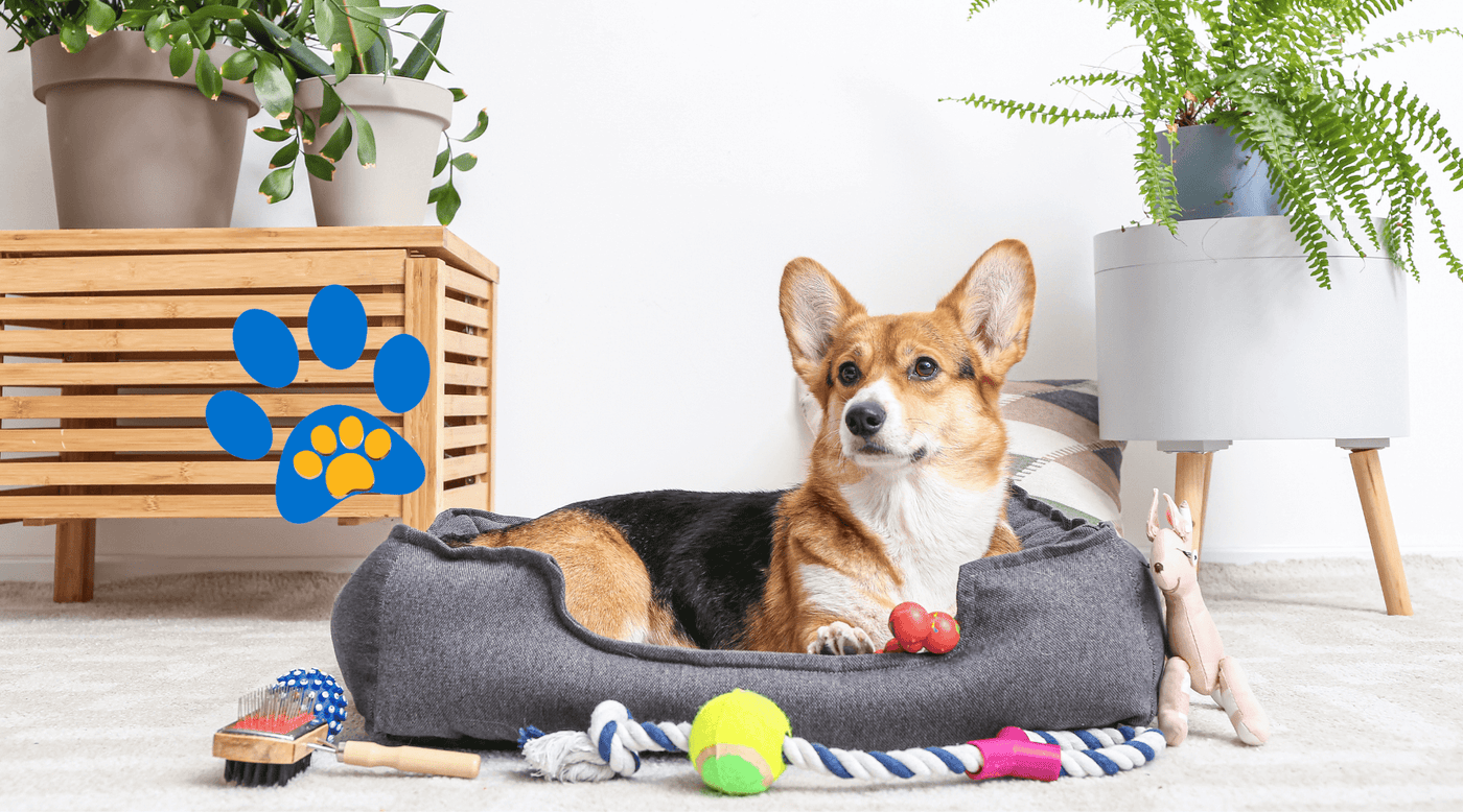 Cama Para Cachorro, Caminhas Para Cachorro, Camapara Cachorro, Caminha De Cachorro, Caminhas De Cachorro, Cama Decachorro, Tapete Gelado Pet, Colchonete Para Cachorro, Colchão Para Cachorro, Tapete Gelado