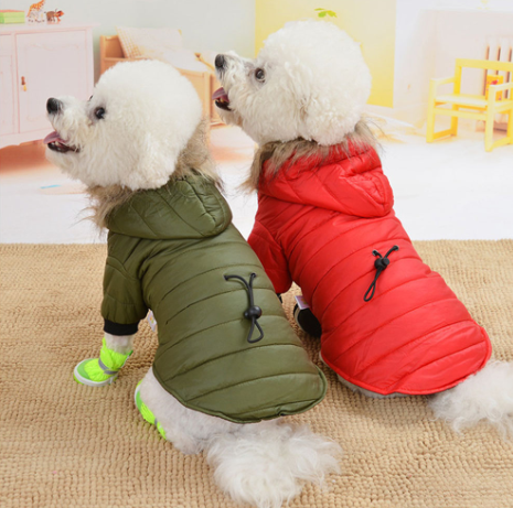 Roupa De Frio Para Cachorro, Roupa De Frio Cachorro, Roupa Pet Inverno, Roupa Cachorro Inverno, Roupa Inverno Cachorro, Roupinha Pet Inverno, Roupa Inverno Para Cachorro, Roupa Para Cachorro Inverno, Roupas Para Cachorro Inverno, Roupinha Inverno Cachorro