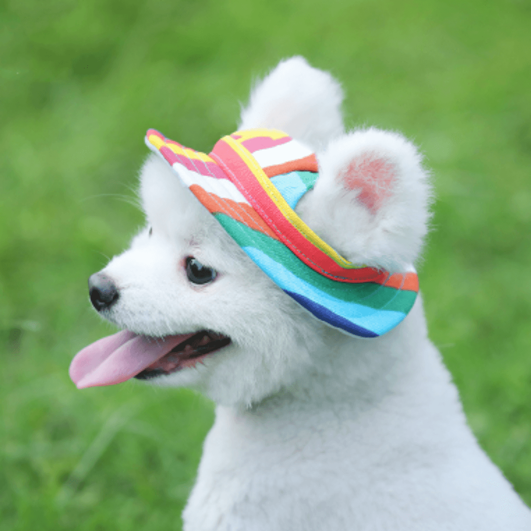 Chapéu Para Cachorro | Tecido Respirável - Boompreçopet