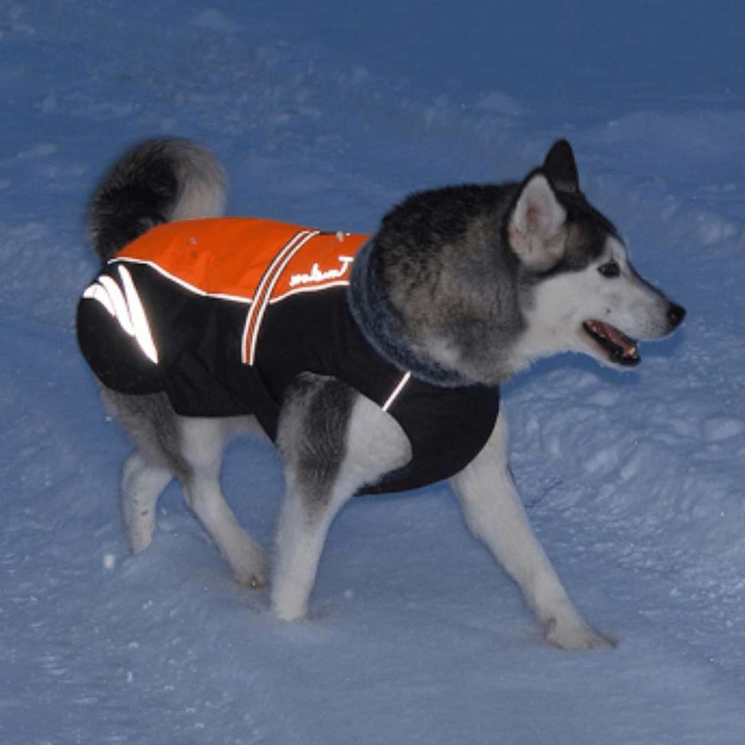 Roupinha de Cachorro | Impermeável Para Inverno