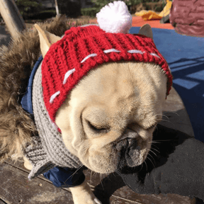 Touca Para Cachorro | Gorro Para Cachorro - Boompreçopet