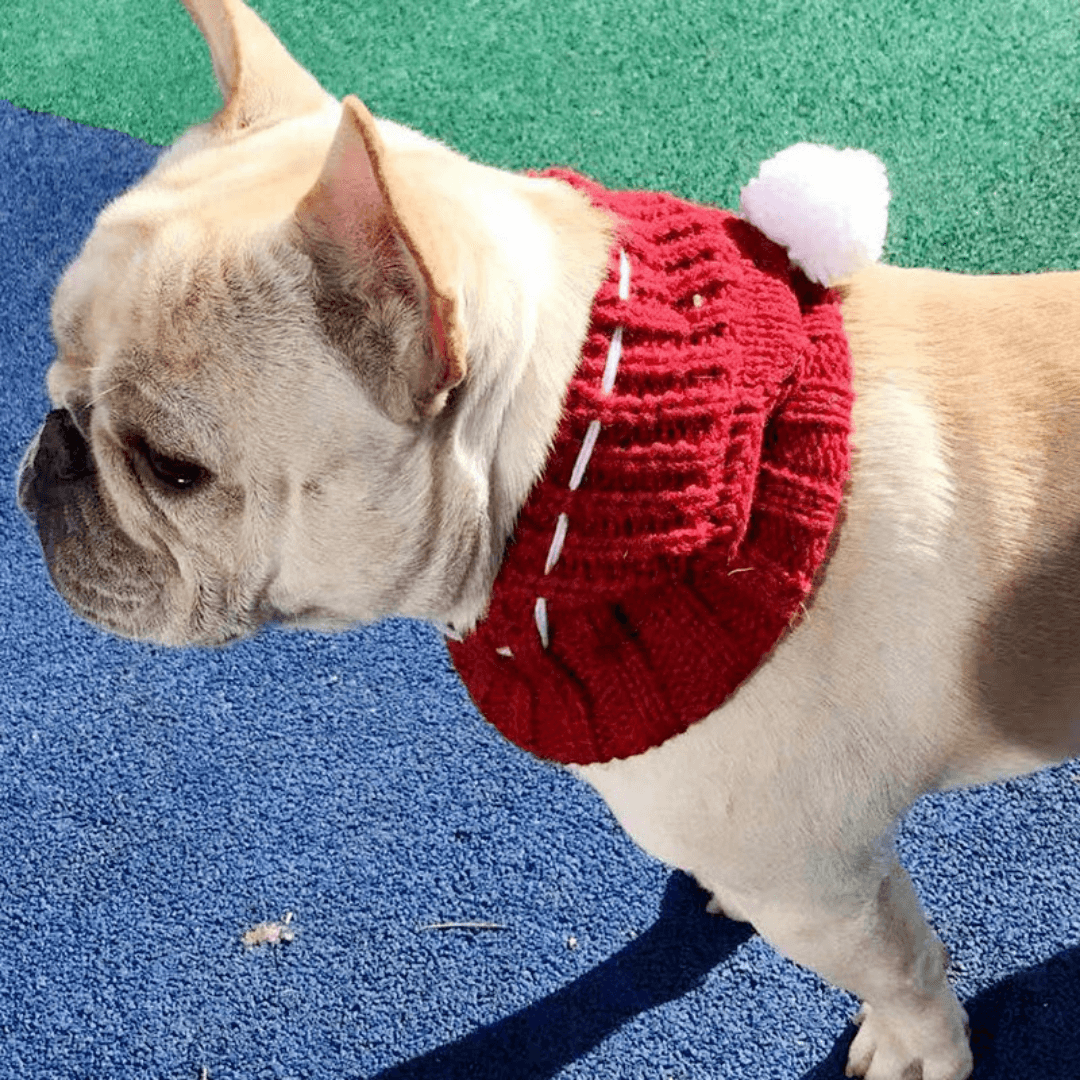 Touca Para Cachorro | Gorro Para Cachorro - Boompreçopet