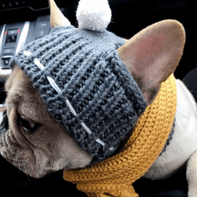 Touca Para Cachorro | Gorro Para Cachorro - Boompreçopet