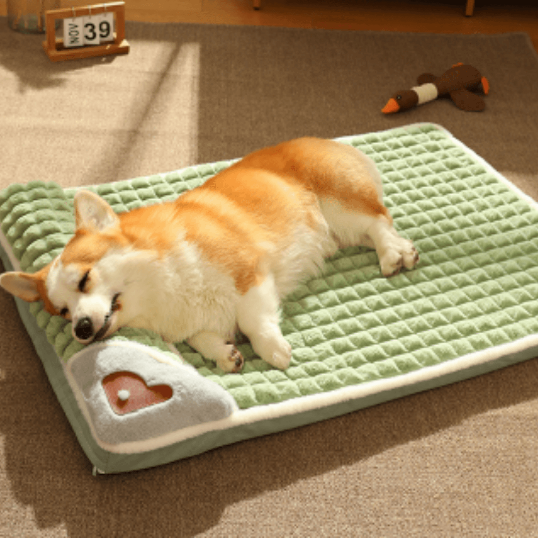 Cama Para Cachorro - Cama Pet Confortável - Boompreçopet