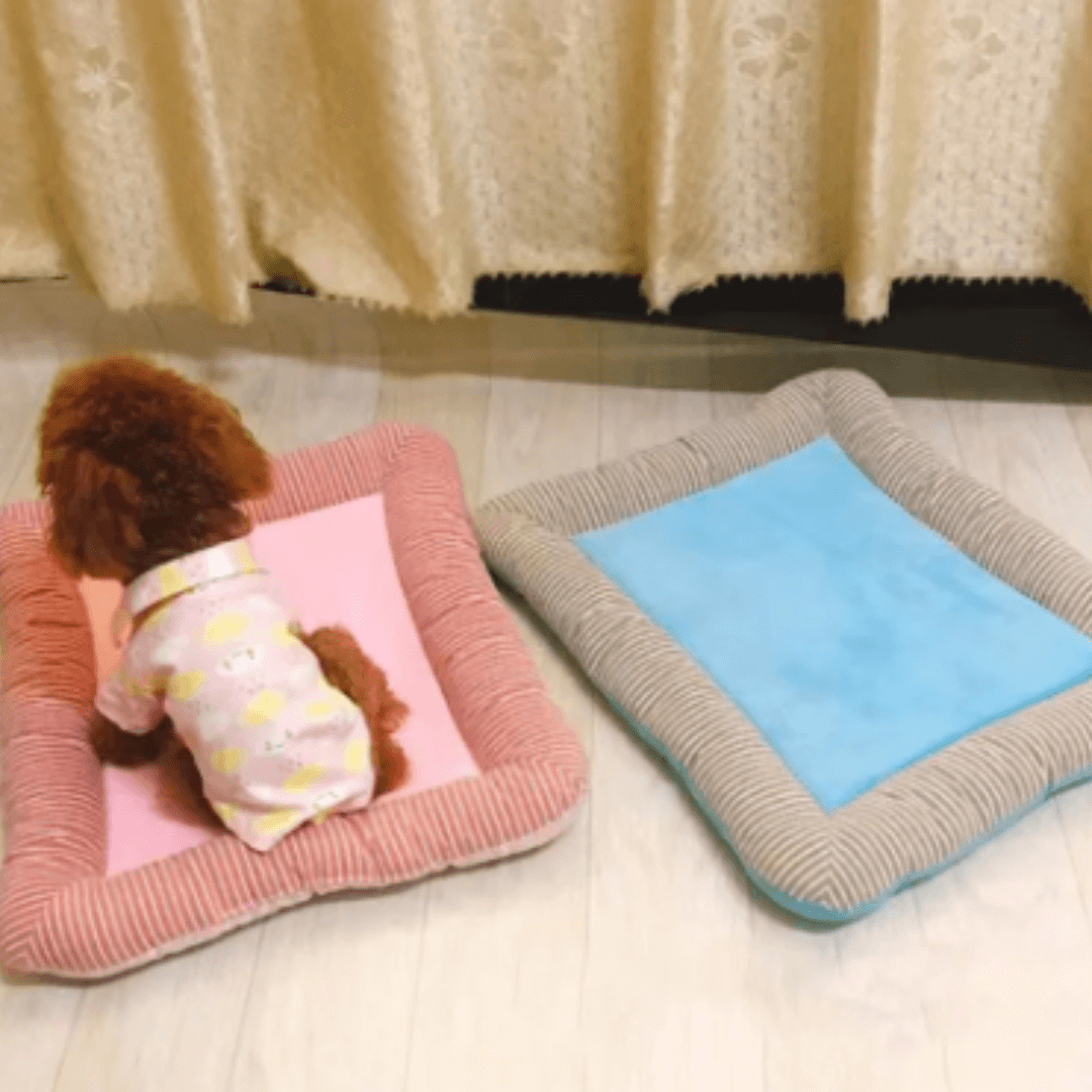 Cama para Cachorro | Tapete Gelado Pet - Boompreçopet