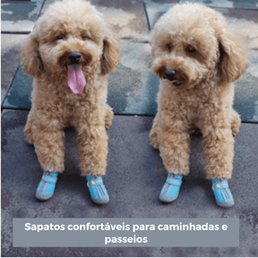 Sapato Para Cachorro | Antiderrapante e Tecido Respirável - Boompreçopet