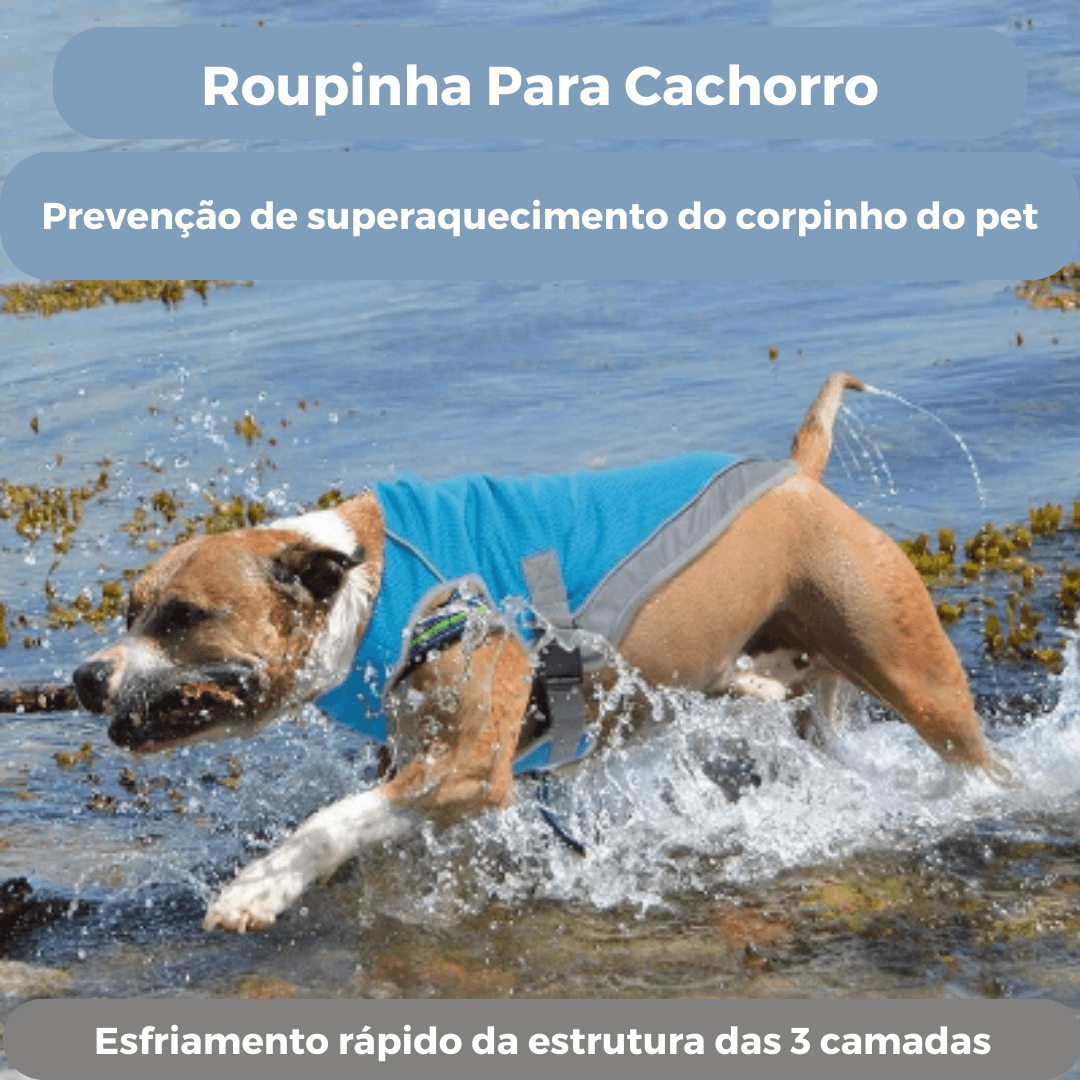 Roupinha de Cachorro | Colete Gelado - Boompreçopet