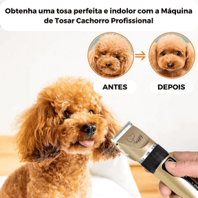 Máquina de Tosar Cachorro Profissional - Boompreçopet