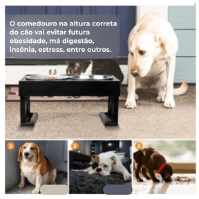 Comedouro Para Cachorro | Comedouro Elevado Para Cachorro | 3 Ajustes - Boompreçopet