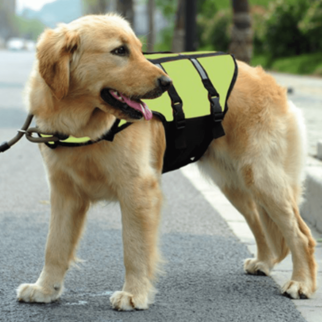 Colete Salva-Vidas Cachorro Com Faixas Refletivas - Boompreçopet