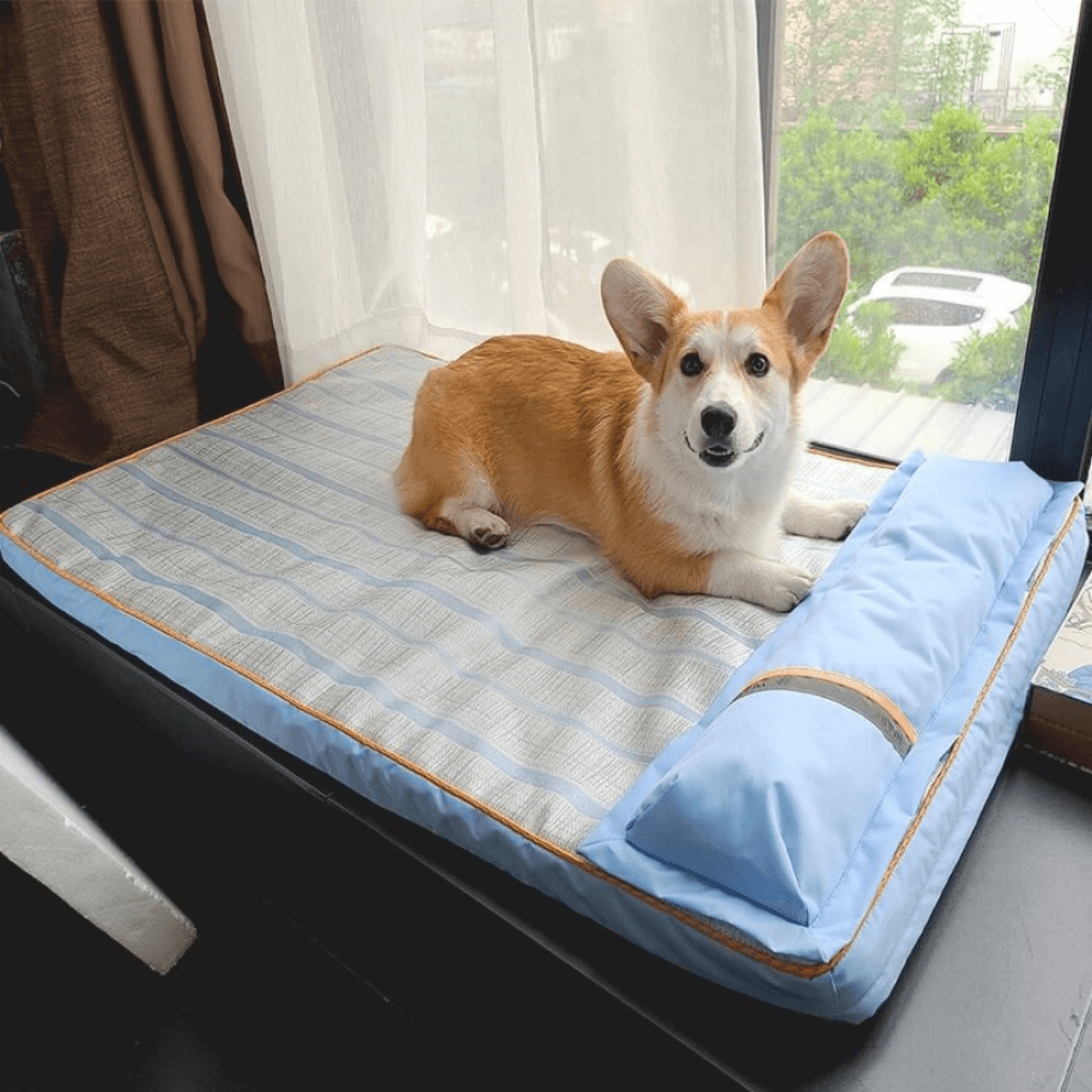 Cama Para Cachorro | Com Travesseiro - Boompreçopet