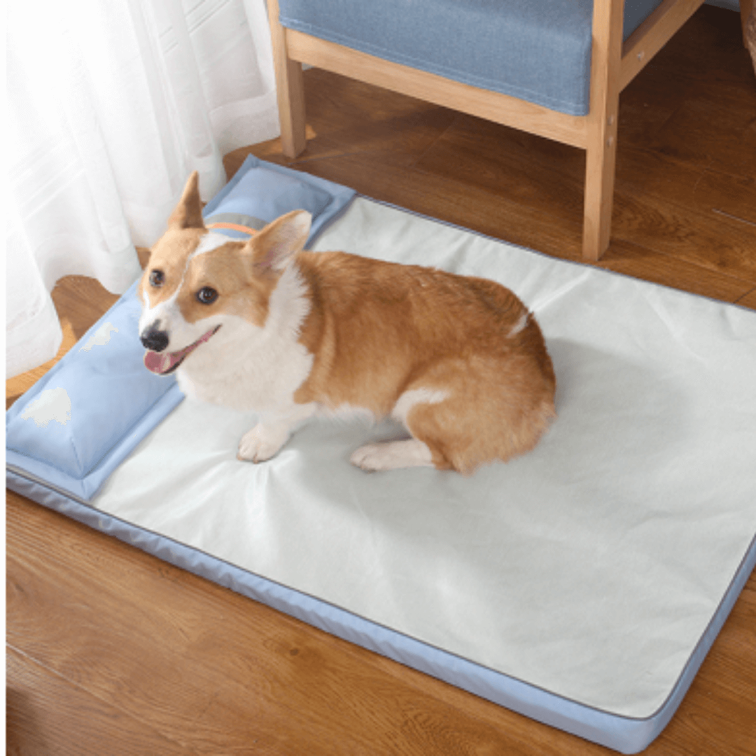 Cama Para Cachorro | Com Travesseiro - Boompreçopet