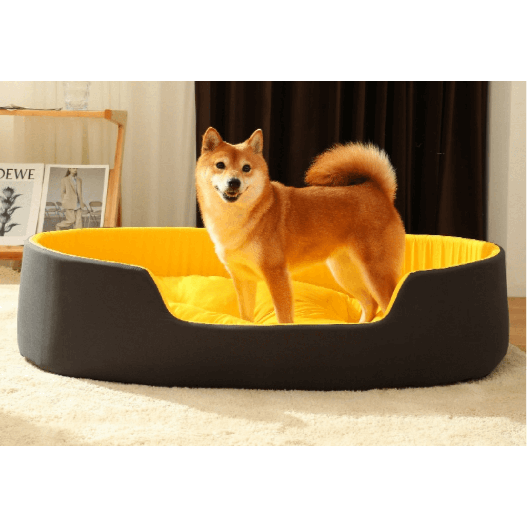 Cama Para Cachorro | Ultra Macia e Confortável - Boompreçopet