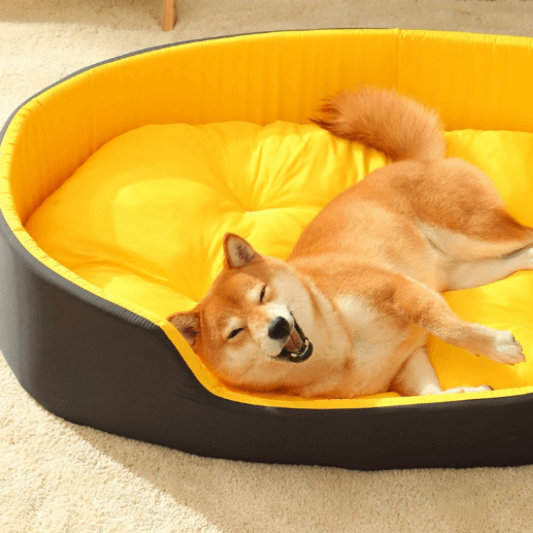 Cama Para Cachorro | Ultra Macia e Confortável - Boompreçopet