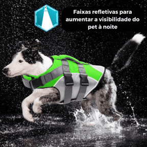 Colete Salva-Vidas Cachorro | Reforçado e Acolchoado - Boompreçopet