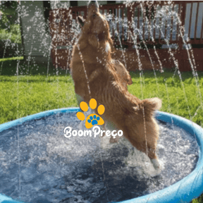 Piscina Para Cachorro | Piscina Chafariz Pet  - Boompreçopet