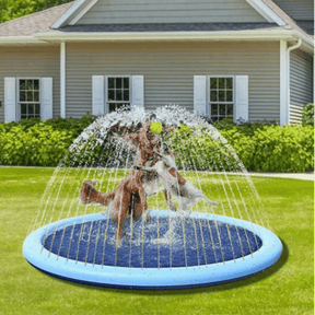 Piscina Para Cachorro | Piscina Chafariz Pet - Azul Claro - Boompreçopet