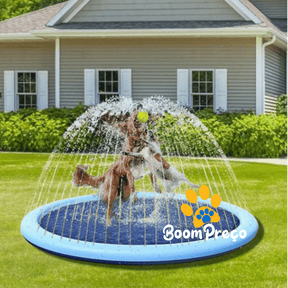 Piscina Para Cachorro | Piscina Chafariz Pet  - Boompreçopet