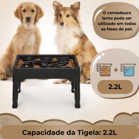 Comedouro Para Cachorro | Comedouro Lento | Alto