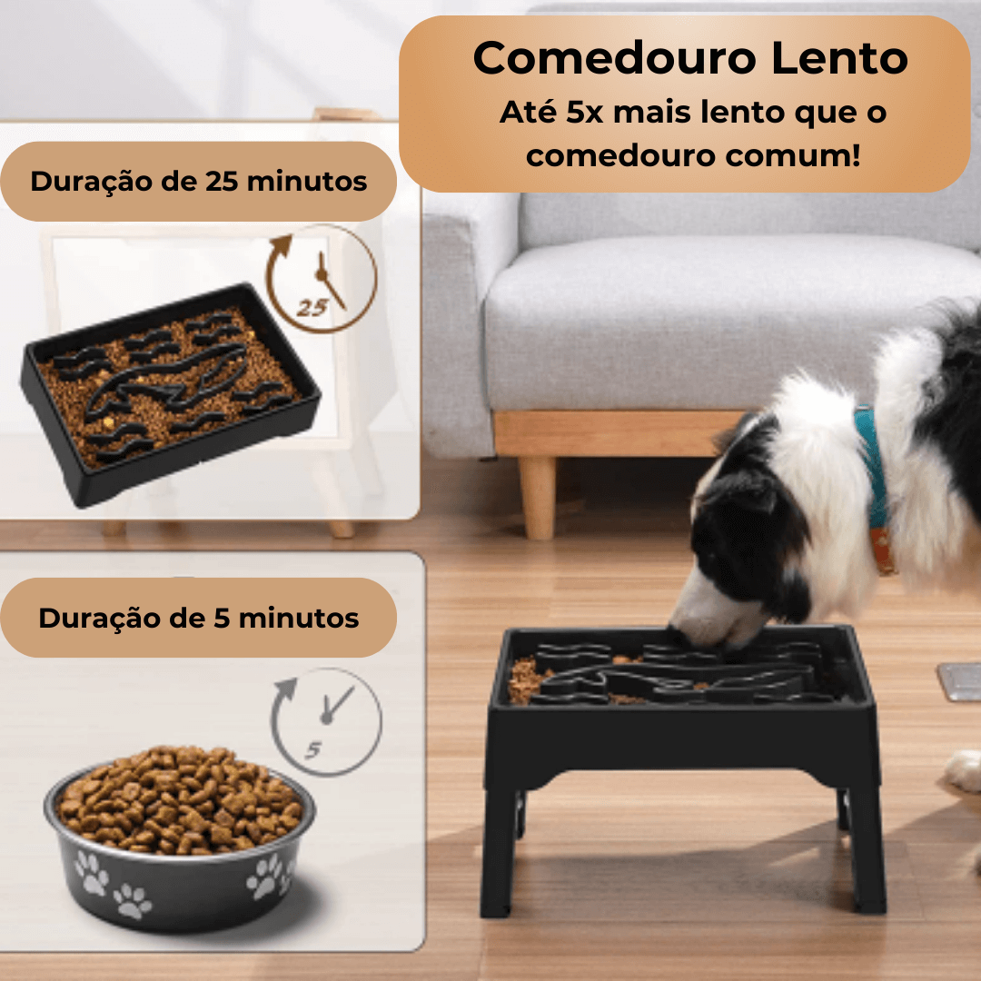 Comedouro Para Cachorro | Comedouro Lento | Alto