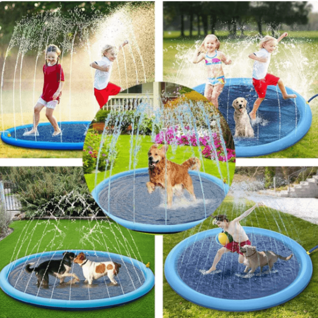 Piscina Para Cachorro | Piscina Chafariz Pet - Azul Claro - Boompreçopet