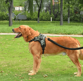 Peitoral Para Cachorro | Passeio - Boompreçopet