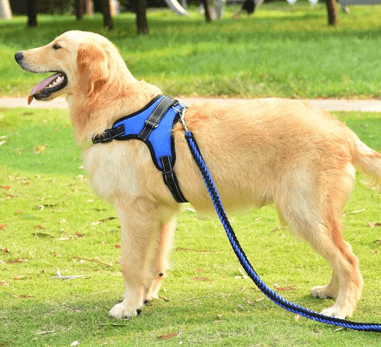 Peitoral Para Cachorro | Passeio - Boompreçopet