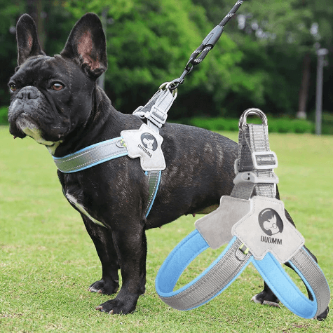 Peitoral Para Cachorro | Pequeno e Médio Porte - Boompreçopet