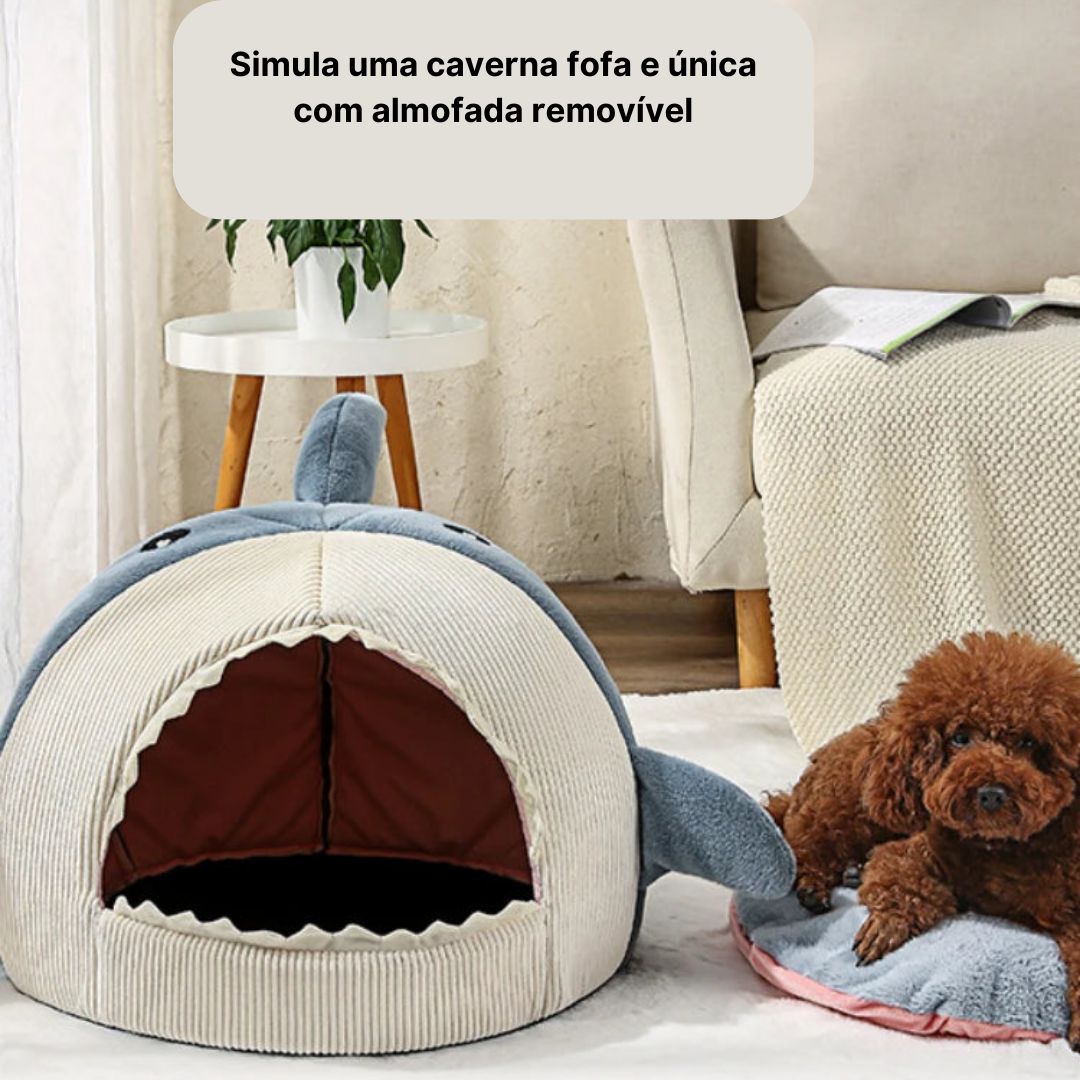 Caminha Pet | Baby Shark - Boompreçopet