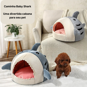 Caminha Pet | Baby Shark - Boompreçopet