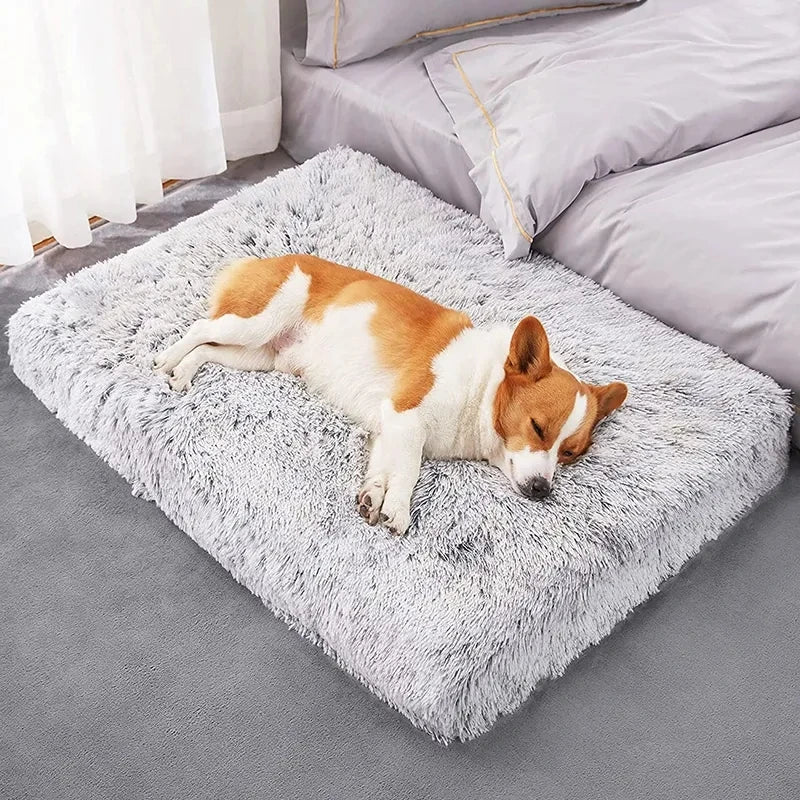 Cama para Cachorro | Cama Pet Nuvem | Caminha Para Cachorro - Boompreçopet