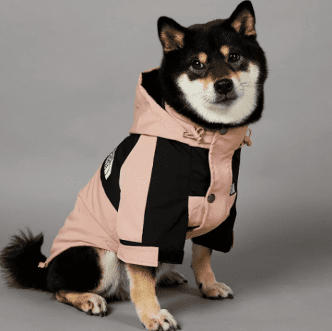 Roupa de Frio Para Cachorro | The Dog Fans | Com Capuz - Boompreçopet