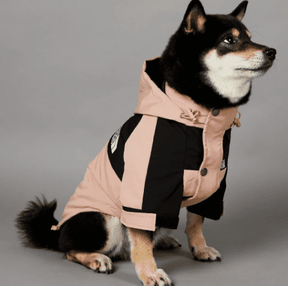 Roupa de Frio Para Cachorro | The Dog Fans | Com Capuz - Boompreçopet