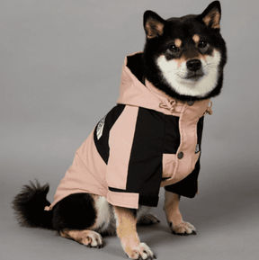 Roupa de Frio Para Cachorro | The Dog Fans | Com Capuz - Boompreçopet