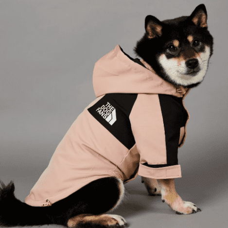 Roupa de Frio Para Cachorro | The Dog Fans | Com Capuz - Boompreçopet