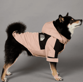 Roupa de Frio Para Cachorro | The Dog Fans | Com Capuz - Boompreçopet