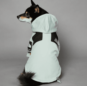 Roupa de Frio Para Cachorro | The Dog Fans | Com Capuz - Boompreçopet