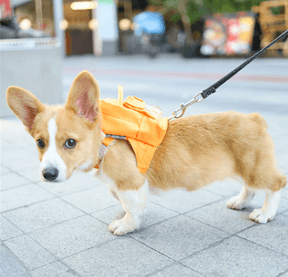 Mochilinha Para Cachorro | Colorida - Boompreçopet