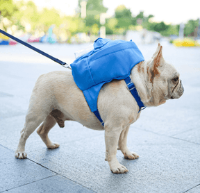 Mochilinha Para Cachorro | Colorida - Boompreçopet