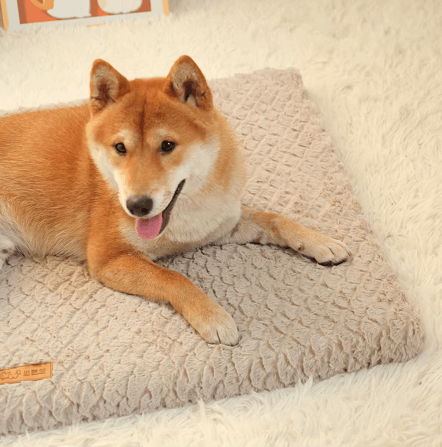 Cama Para Cachorro | Tapete Ortopédico - Boompreçopet