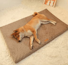 Cama Para Cachorro | Tapete Ortopédico - Boompreçopet