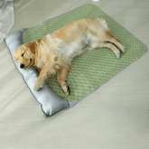 Cama Para Cachorro | Gelado Pet Com Travesseiro