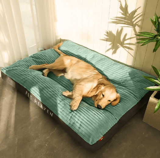 Cama Para Cachorro | Cama Pet Dream - Boompreçopet