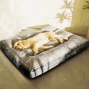 Cama Para Cachorro | Cama Pet Dream - Boompreçopet