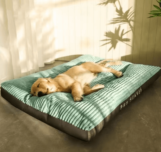 Cama Para Cachorro | Cama Pet Dream - Boompreçopet