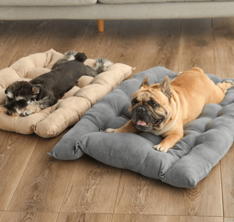 Cama Para Cachorro | Sofá - Boompreçopet