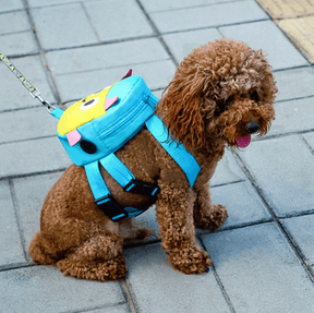 Mochilinha Para Cachorro | Carinhas - Boompreçopet