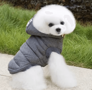 Roupa De Frio Para Cachorro | Aveludada | Com Capuz - Boompreçopet