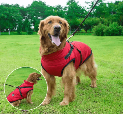 Roupa de Frio Para Cachorro | Colete Impermeável com Gola - Boompreçopet